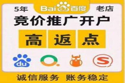 百度广告竞价策略解析与应用案例
